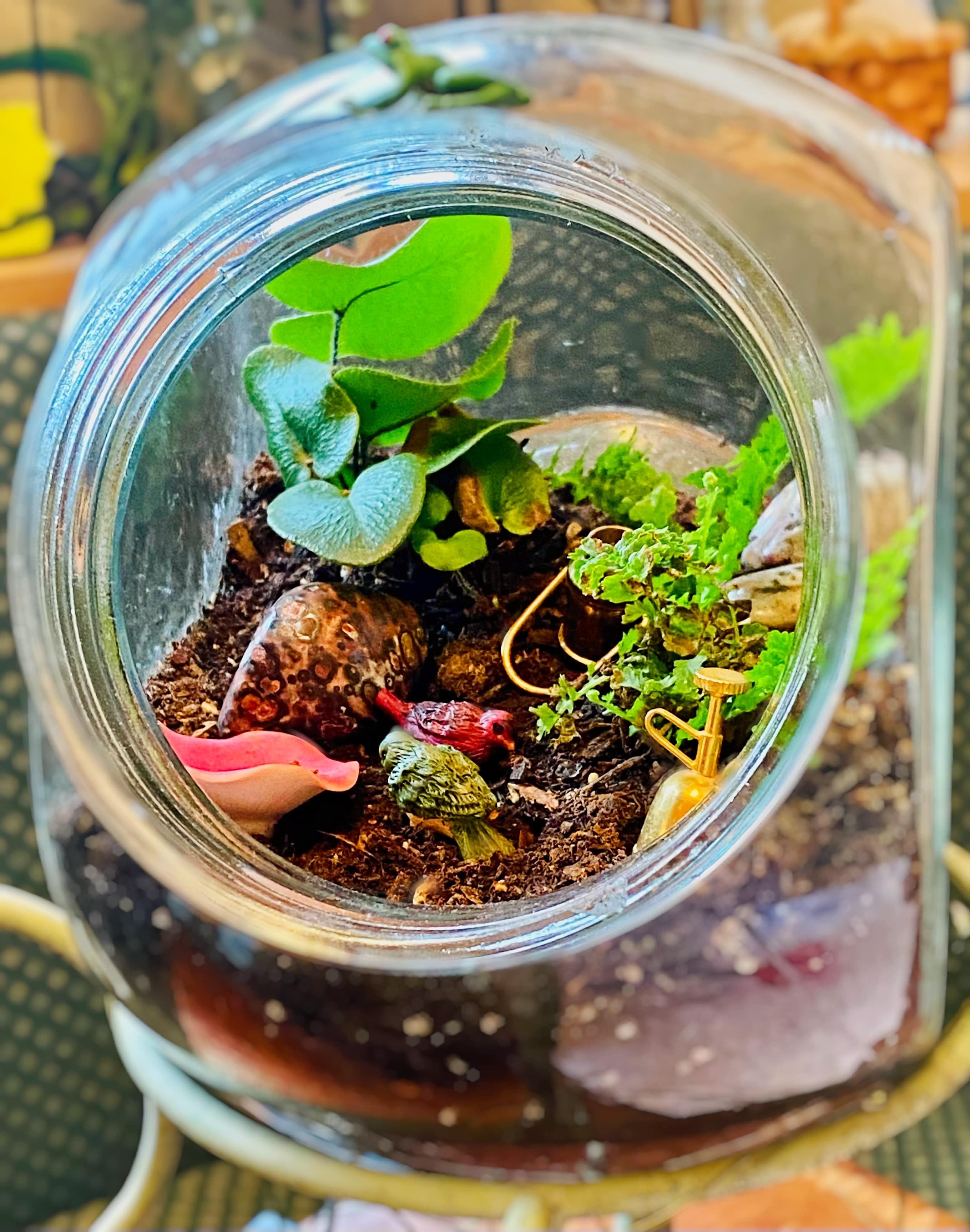 Open Terrarium